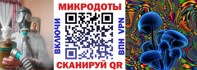 Псилоцибиновые грибы мухоморы  купить наркотик  Невель 